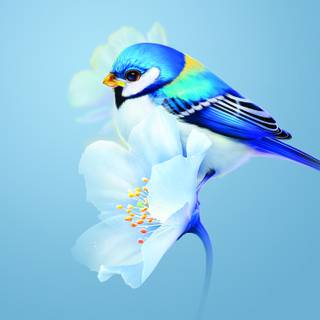 Bird desktop 4k wallpaper