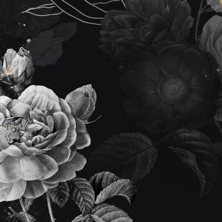 Black aesthetic simple wallpaper