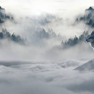 Winter foggy forest wallpaper