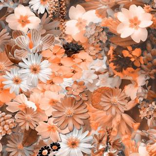 Spring aesthetic cute wallpaper