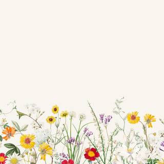 Spring aesthetic cute wallpaper