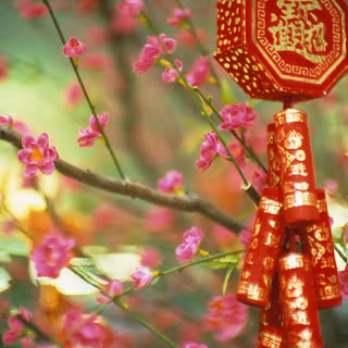 Chinese flower wallpaper