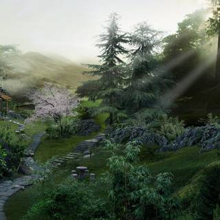 Chinese forest wallpaper