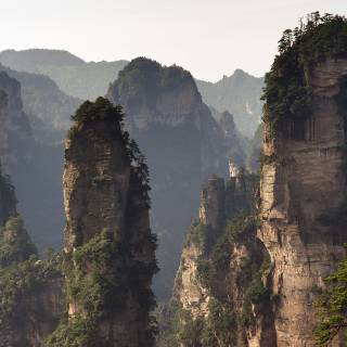 Chinese forest wallpaper