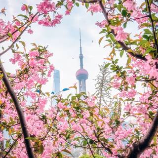 Chinese flower wallpaper