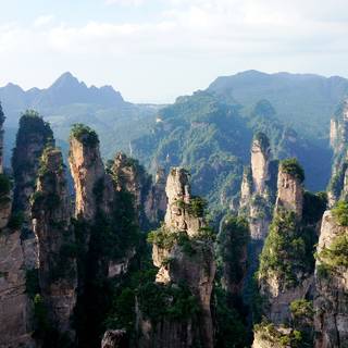 Chinese forest wallpaper