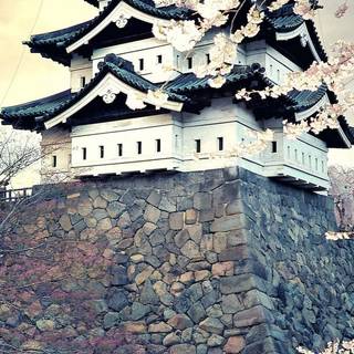 Chinese castle wallpaper