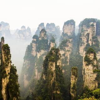 Chinese forest wallpaper