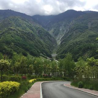 Chinese forest wallpaper