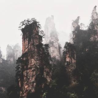 Chinese forest wallpaper