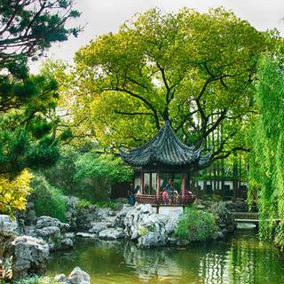 Chinese trees wallpaper