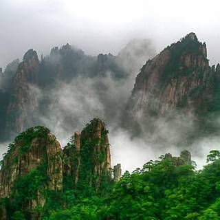 Chinese trees wallpaper