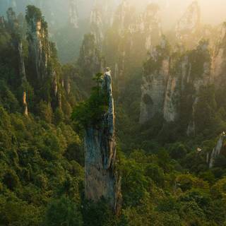 Chinese forest wallpaper