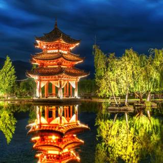 Chinese forest wallpaper