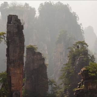 Chinese forest wallpaper