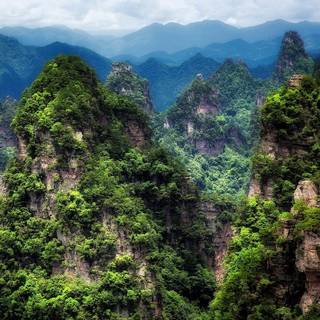 Chinese forest wallpaper