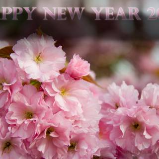 Pink New Year 2024 wallpaper