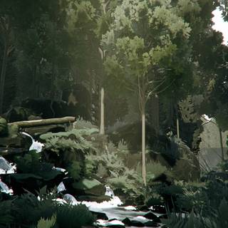 Ultrawide forest wallpaper