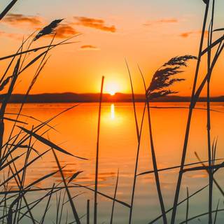 Sunset phone 4k wallpaper