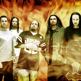 Korn HD desktop wallpaper