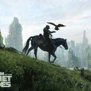 Kingdom of the Planet of the Apes 2024 wallpaper