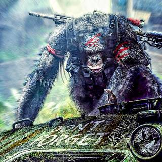 Kingdom of the Planet of the Apes 2024 wallpaper