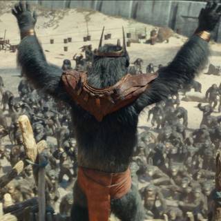 Kingdom of the Planet of the Apes 2024 wallpaper