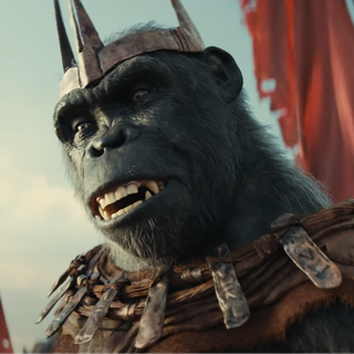 Kingdom of the Planet of the Apes 2024 wallpaper