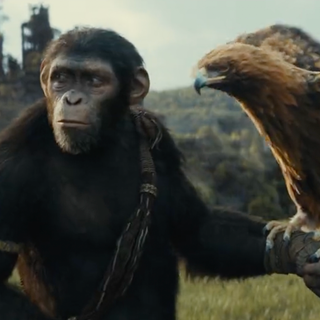 Kingdom of the Planet of the Apes 2024 wallpaper