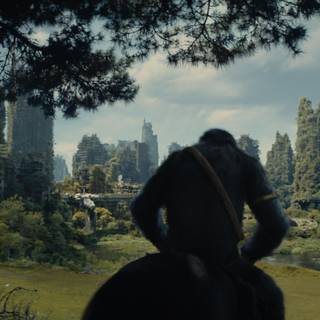 Kingdom of the Planet of the Apes 2024 wallpaper