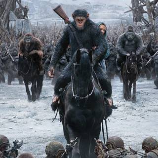 Kingdom of the Planet of the Apes 2024 wallpaper