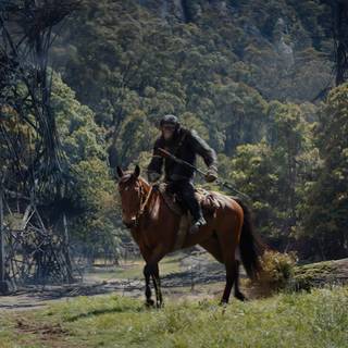 Kingdom of the Planet of the Apes 2024 wallpaper