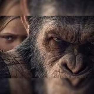 Kingdom of the Planet of the Apes 2024 wallpaper