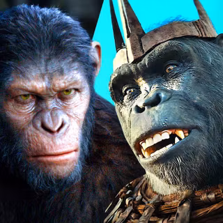 Kingdom of The Planet Of The Apes 2024 movie wallpaper