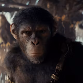 Kingdom of the Planet of the Apes 2024 wallpaper