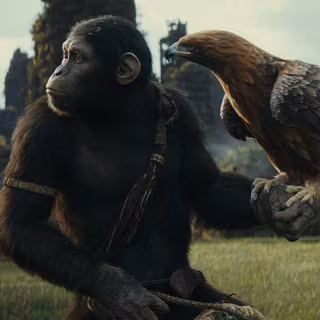 Kingdom of the Planet of the Apes 2024 wallpaper