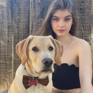 Lyliana Wray wallpaper