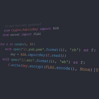 Python developer wallpaper