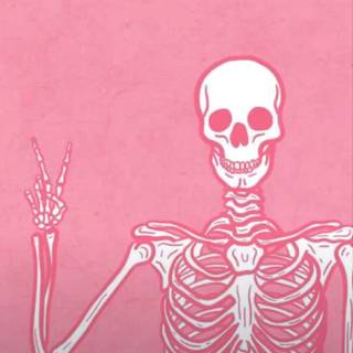 Pink skeleton wallpaper