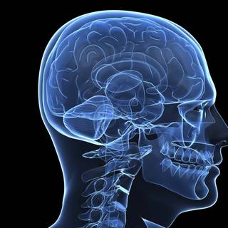 Human head wallpaper