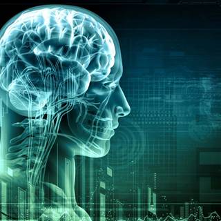 Human head wallpaper