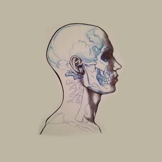 Human head wallpaper