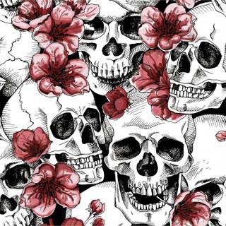 Pink skeleton wallpaper