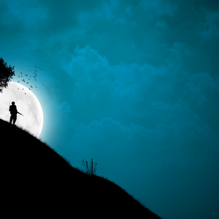 Lone soldier wallpaper