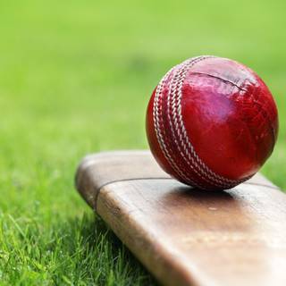 Sports cricket wallpaper