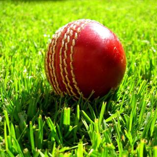 Sports cricket wallpaper