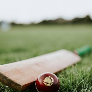 Sports cricket wallpaper