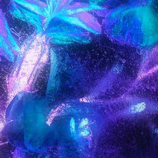 Purple cyan wallpaper