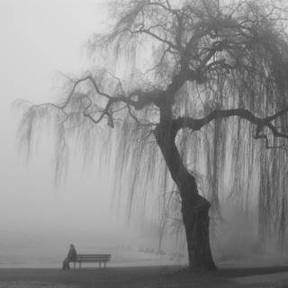 Sad and depressing wallpaper