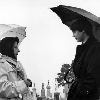 Harold and Maude wallpaper